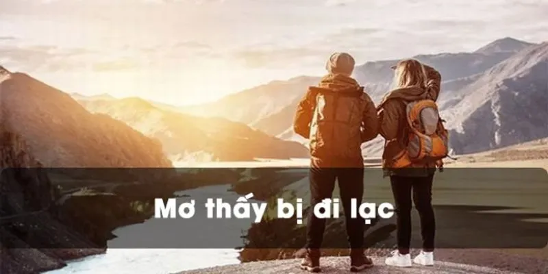 Tìm hiểu ý nghĩa của các trường hợp mơ thấy đi lạc đường