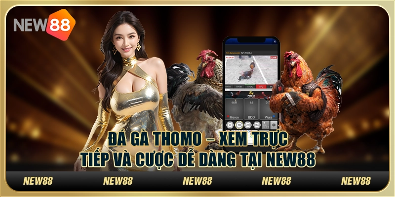 Đá gà Thomo – Xem trực tiếp và cược dễ dàng tại New88