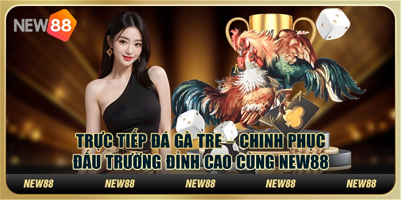 Trực tiếp đá gà tre – Chinh phục đấu trường đỉnh cao cùng New88