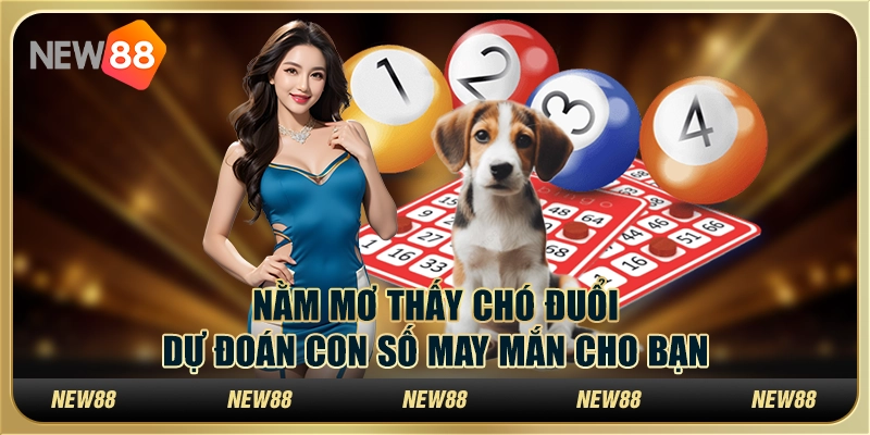 Nằm mơ thấy chó đuổi – Dự đoán con số may mắn cho bạn