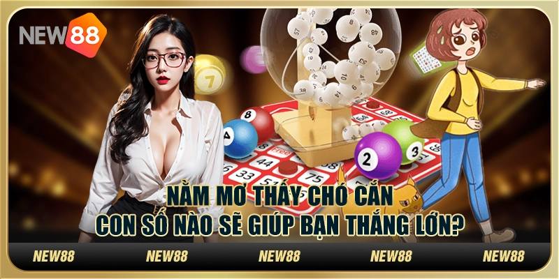 Nằm mơ thấy chó cắn: Con số nào sẽ giúp bạn thắng lớn?