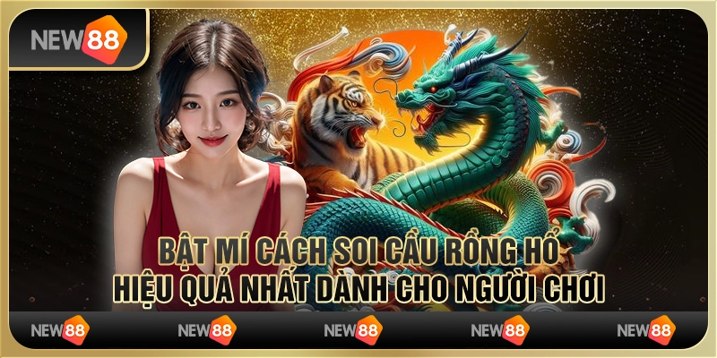 Bật mí cách soi cầu rồng hổ hiệu quả nhất dành cho người chơi