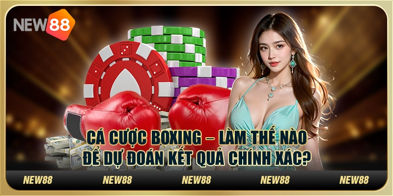 Cá cược boxing tại New88 – Làm thế nào để dự đoán kết quả chính xác?