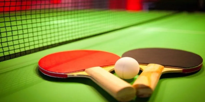 Tìm hiểu tổng quan về cá cược bóng bàn