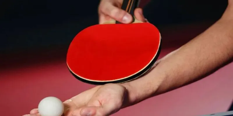 Hướng dẫn cách chọn kèo cá cược bóng bàn giúp tối ưu cơ hội thắng