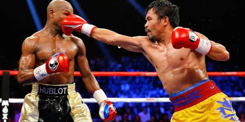 Tổng hợp một vài thông tin về cá cược boxing