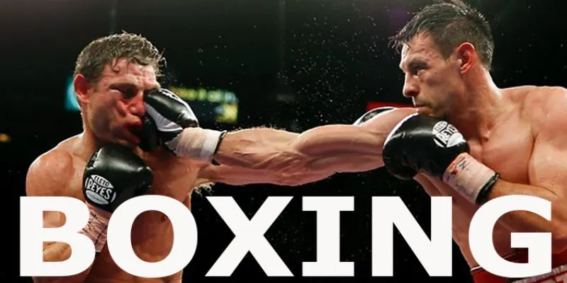 Khám phá các loại cược Boxing phổ biến và cách đặt cược