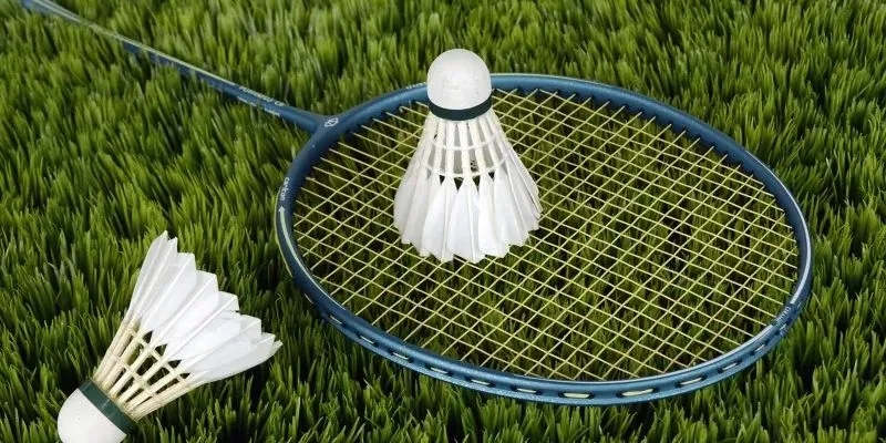 Khái quát về cá cược cầu lông