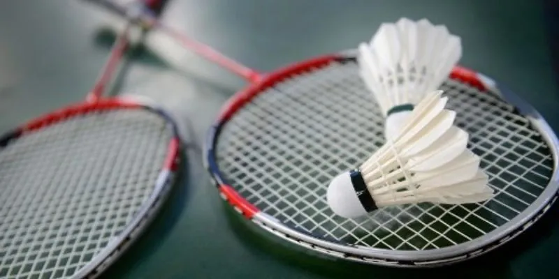 Tổng hợp các kiểu kèo cá cược cầu lông được ưa chuộng