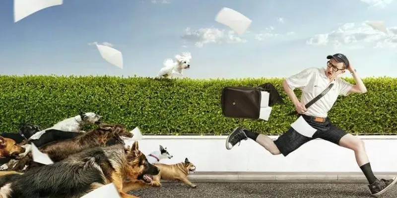 Tìm hiểu ý nghĩa khi nằm mơ thấy chó đuổi nhưng mình chạy thoát