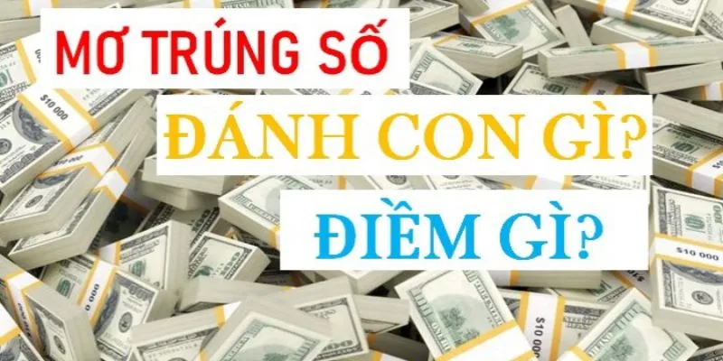 Những điềm báo khi nằm mơ thấy trúng số 