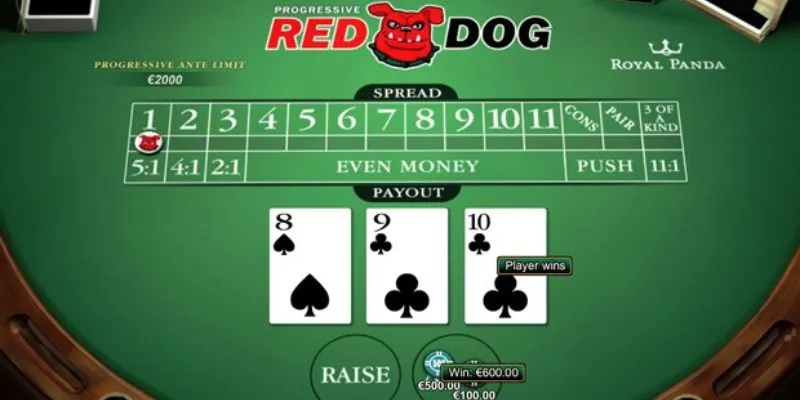 Khám phá kinh nghiệm thực tế từ người chơi Red Dog lâu năm