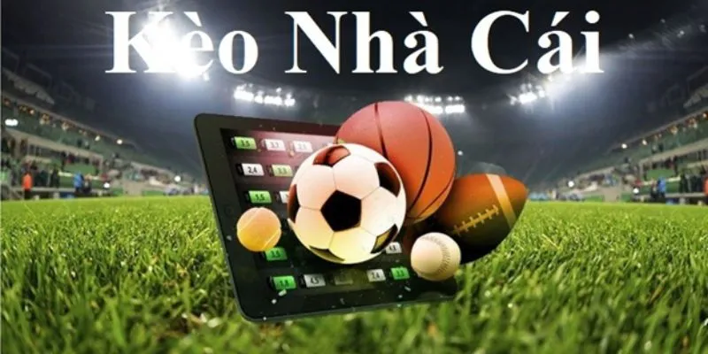 Tổng hợp những phương pháp giúp soi kèo nhà cái chính xác hơn