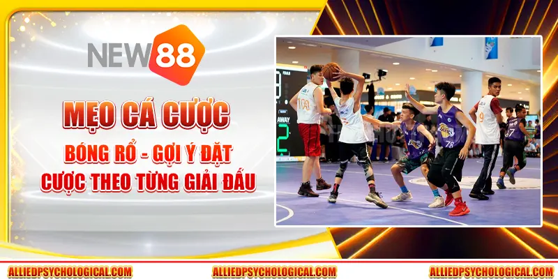 Mẹo cá cược bóng rổ - Gợi ý đặt cược theo từng giải đấu