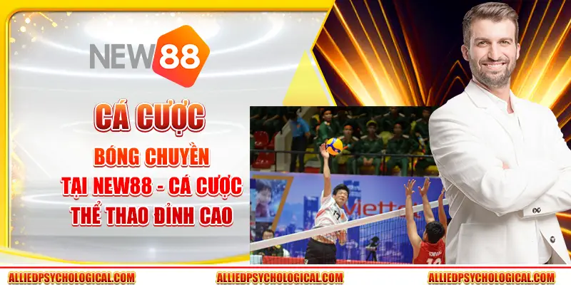 Cá cược bóng chuyền tại New88 - Cá cược thể thao đỉnh cao