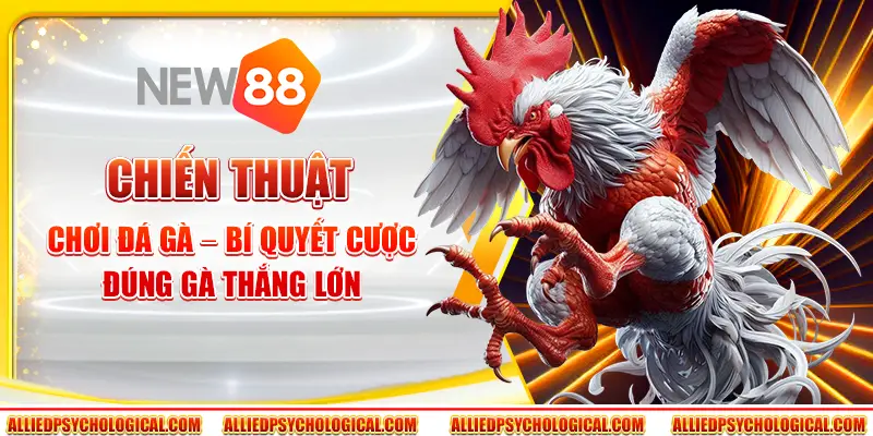 Chiến thuật chơi đá gà – Bí quyết cược đúng gà thắng lớn
