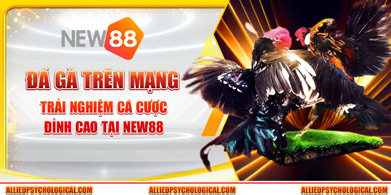 Đá gà trên mạng - Trải nghiệm cá cược đỉnh cao tại New88