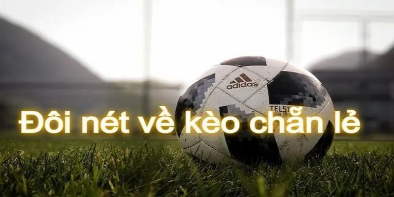 Tìm hiểu thời điểm vàng để bắt kèo chẵn lẻ