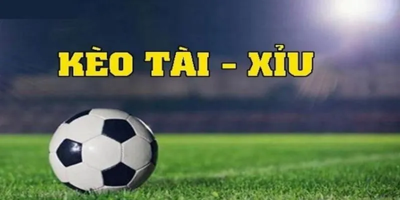 Tìm hiểu cách cá độ bóng đá tài xỉu thắng đậm