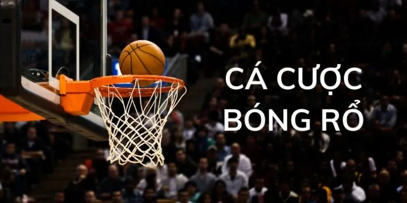 Tổng hợp các giải đấu bóng rổ hàng đầu