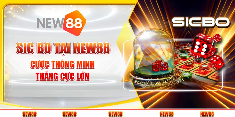 Sic Bo tại New88 - Cược thông minh, thắng cực lớn