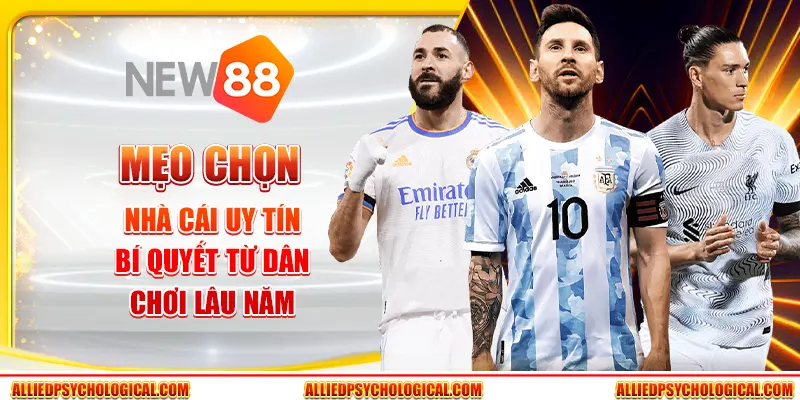 Mẹo chọn nhà cái uy tín - Bí quyết từ dân chơi lâu năm