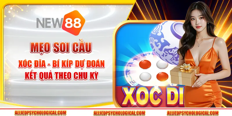 Mẹo soi cầu Xóc Đĩa - Bí kíp dự đoán kết quả theo chu kỳ