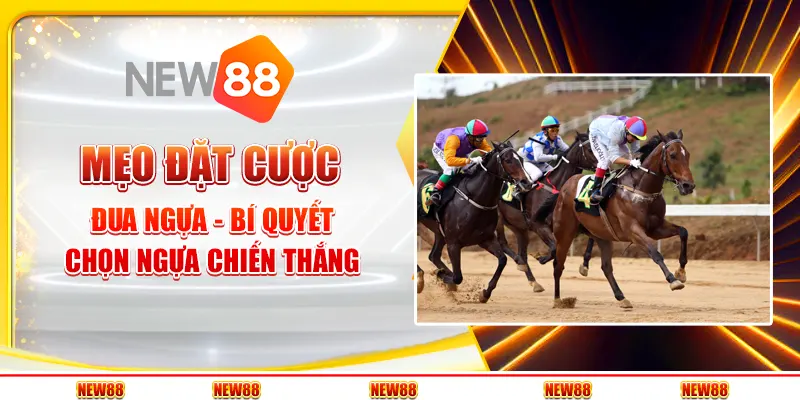 Mẹo đặt cược đua ngựa - Bí quyết chọn ngựa chiến thắng