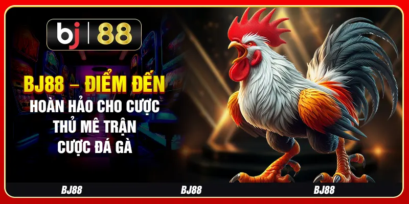BJ88 – Điểm Đến Hoàn Hảo Cho Cược Thủ Mê Trận Cược Đá Gà