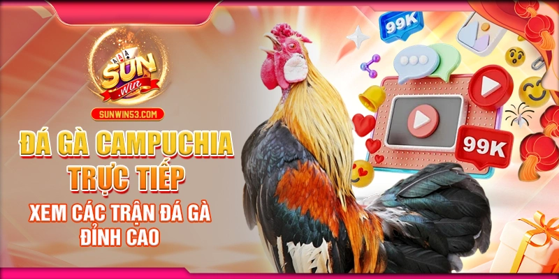 da-ga-campuchia-truc-tiep-xem-cac-tran-da-ga-dinh-cao