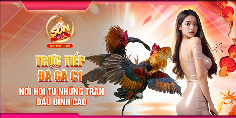 Trực Tiếp Đá Gà C1: Nơi Hội Tụ Những Trận Đấu Đỉnh Cao