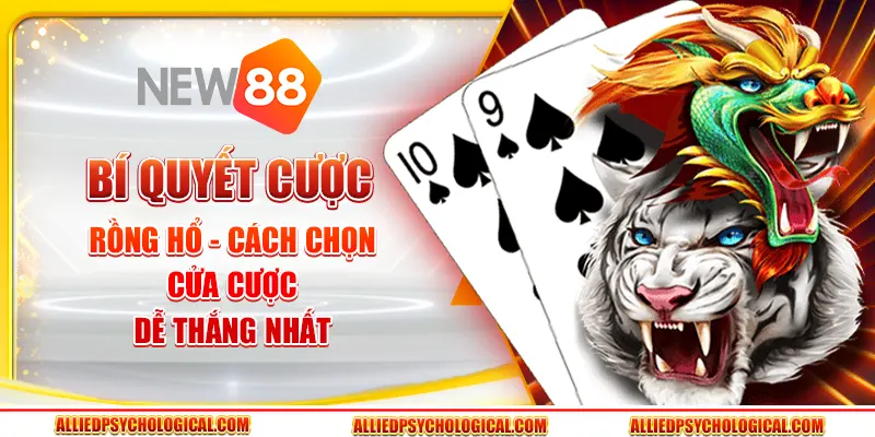 Bí quyết cược rồng hổ - Cách chọn cửa cược dễ thắng nhất