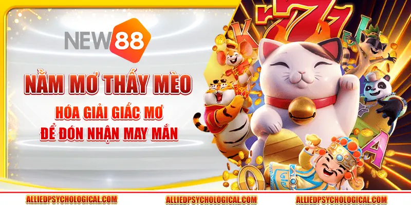 Nằm mơ thấy mèo - Hóa giải giấc mơ để đón nhận may mắn