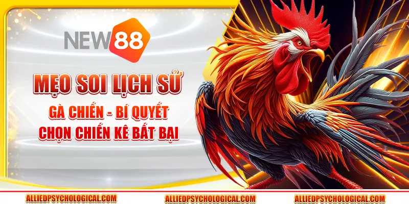 Mẹo soi lịch sử gà chiến - Bí quyết chọn chiến kê bất bại