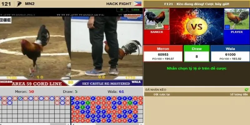 Tìm hiểu cách đọc kèo đá gà chuẩn xác