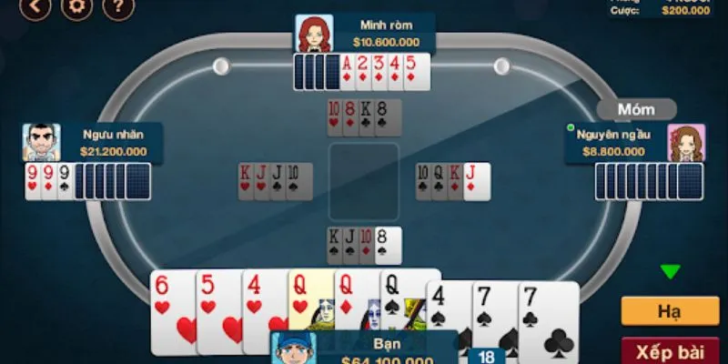 Khám phá các loại bài cơ bản trong phỏm