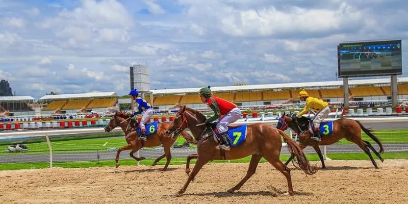 Ưu điểm khi theo dõi các cuộc đua trước khi đặt cược