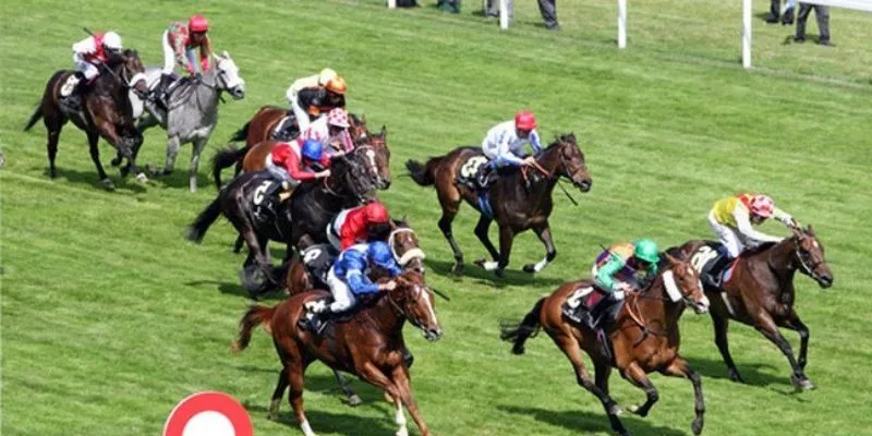 Tổng hợp các loại cược đua ngựa phổ biến