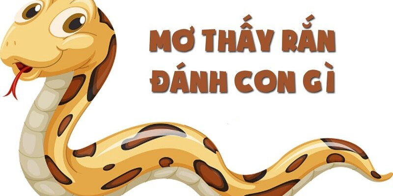 Những con số bạn nên thử khi mơ thấy rắn