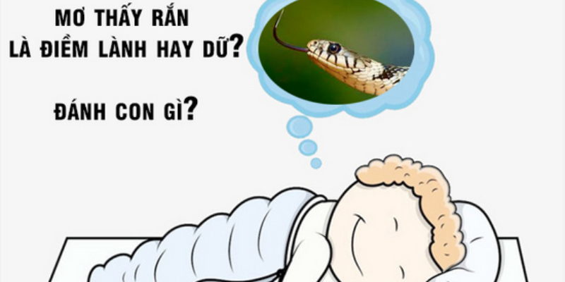 Nằm mơ thấy rắn và cách áp dụng vào cá cược tại nhà cái