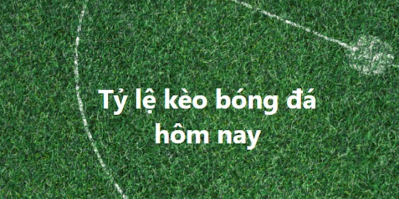 Tỷ lệ kèo đa dạng mang lại nhiều lựa chọn cá cược cho người chơi