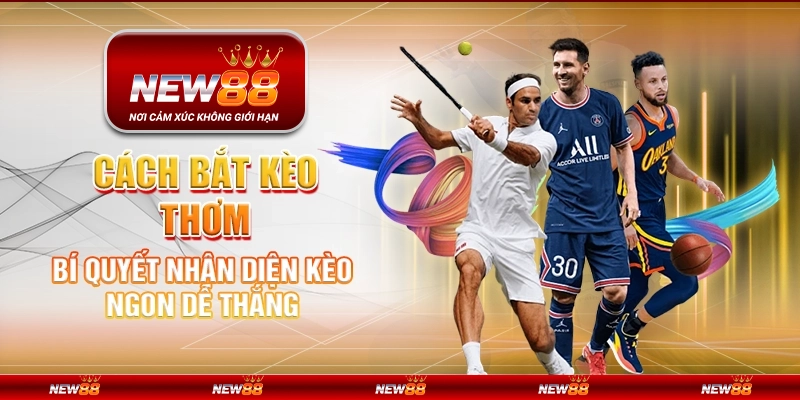 Cách bắt kèo thơm - Bí quyết nhận diện kèo ngon dễ thắng