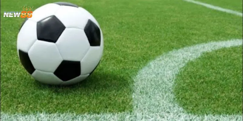 Khái nét về cá cược FIFA tại New88