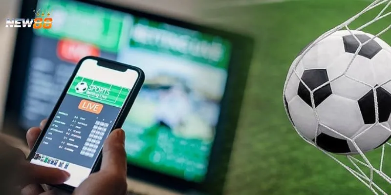 Bật mí mẹo chơi cá cược thành công