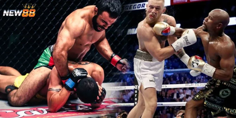 Tổng hợp các loại hình cá cược MMA phổ biến