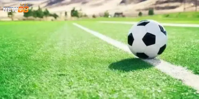 Tìm hiểu cách bắt kèo thơm hiệu quả nhất