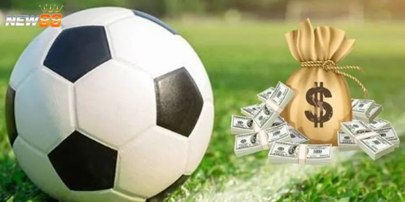 Tổng hợp những sai lầm khi soi kèo bóng đá