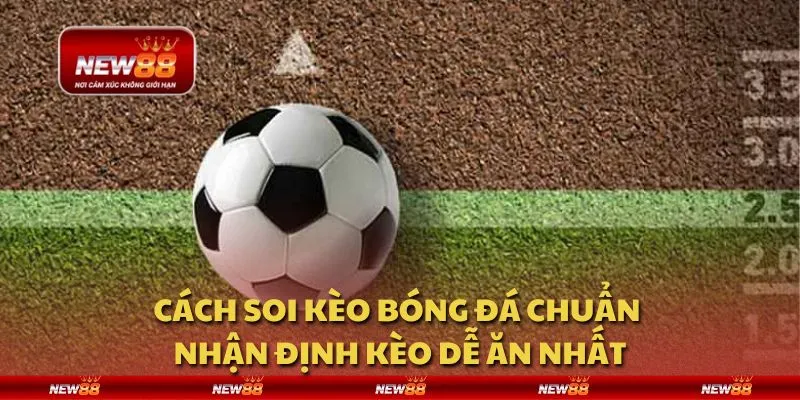 Cách soi kèo bóng đá chuẩn - Nhận định kèo dễ ăn nhất