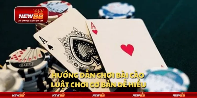 Hướng dẫn chơi bài Cào - Luật chơi cơ bản dễ hiểu
