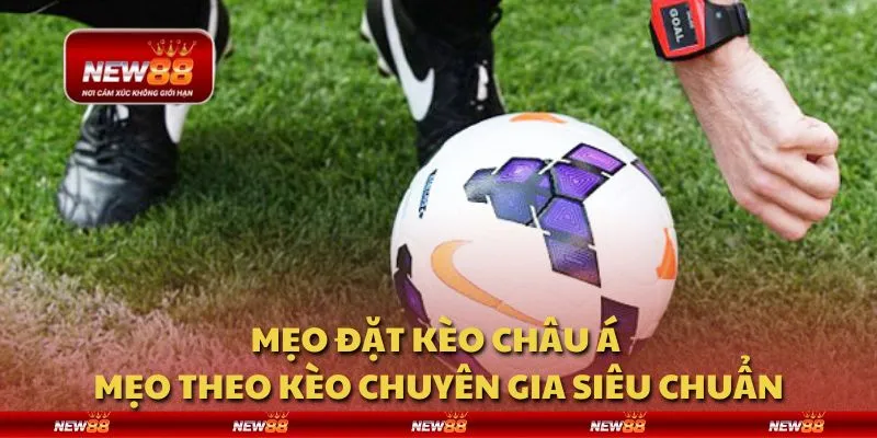 Mẹo đặt kèo châu Á - Mẹo theo kèo chuyên gia siêu chuẩn